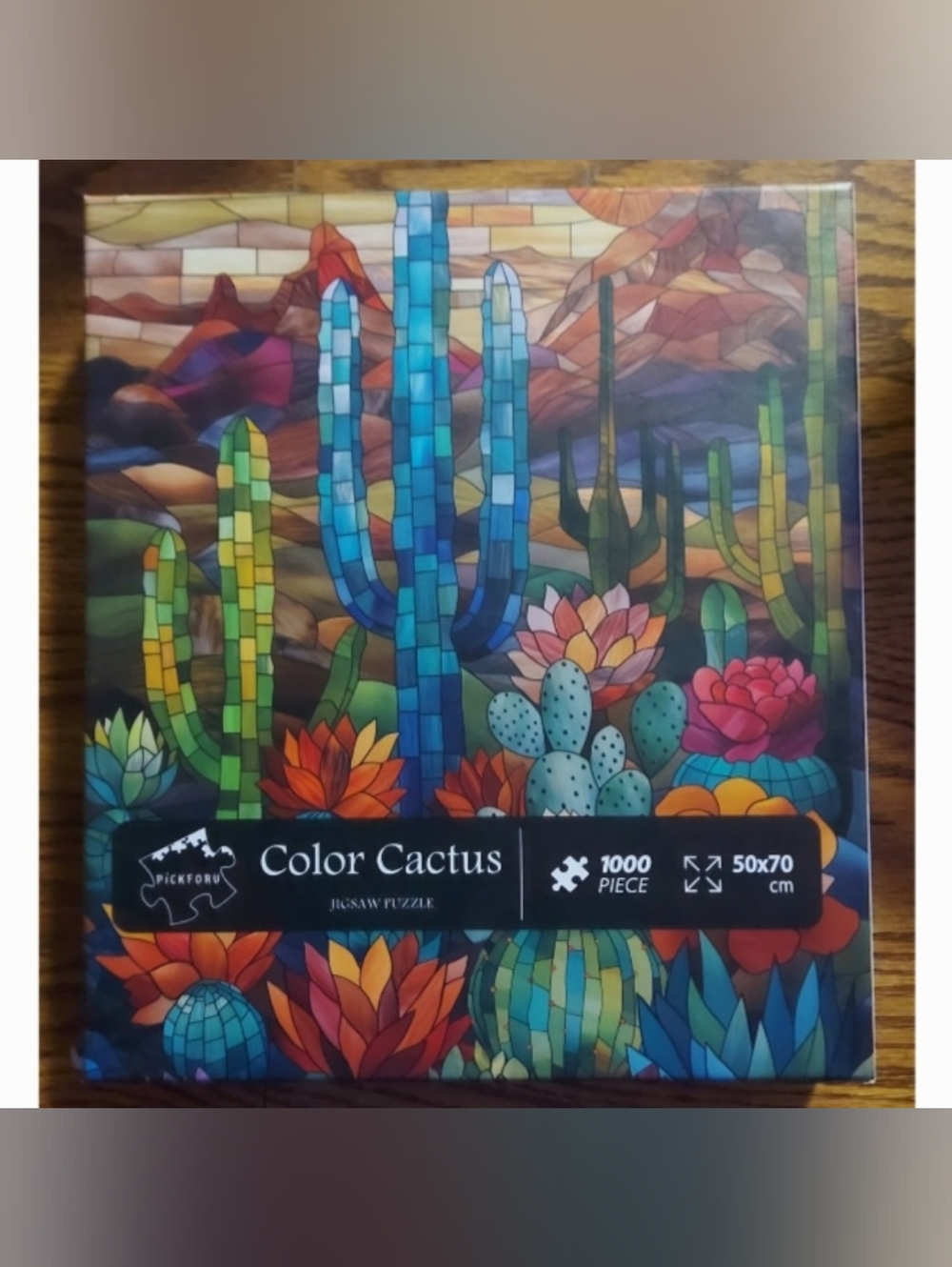 Pickforu "Color Cactus" - 1000 Piece Jigsaw Puzzle